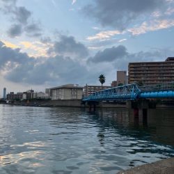 ここで初めて釣ったマルタウグイ