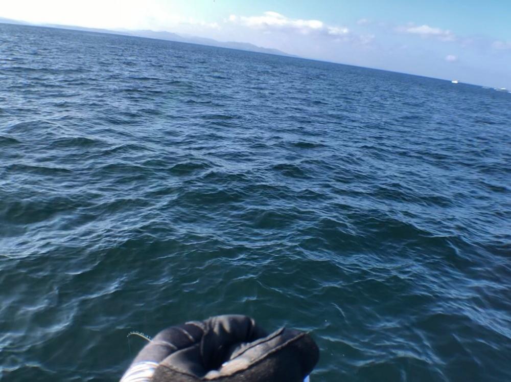 明石のSLJで元気な青物でした！