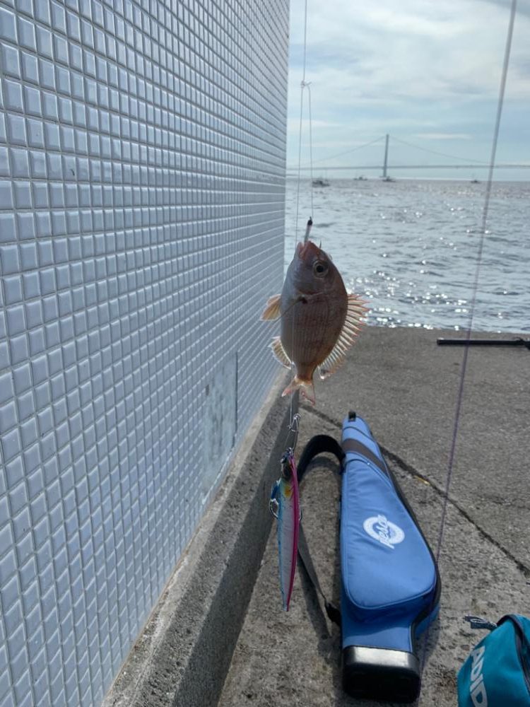 なんでも釣れるジグサビキ