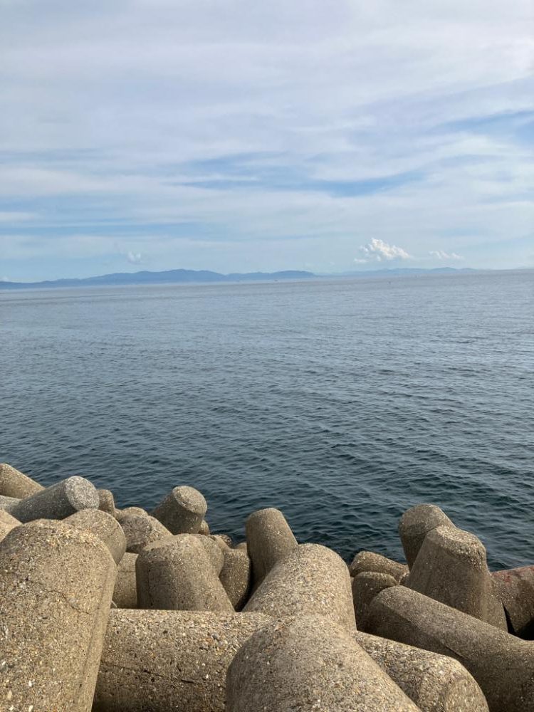 出勤前エギング(^｡^)