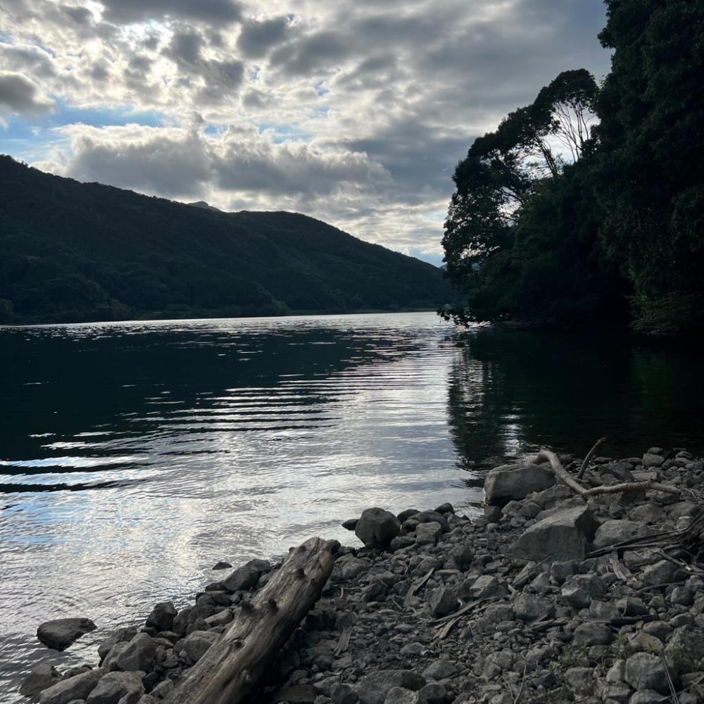 パターン発見💡