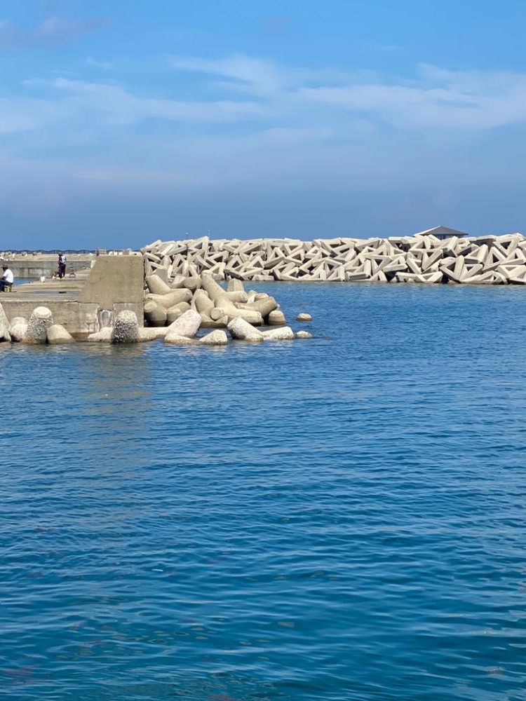 新子調査のはずが、、、