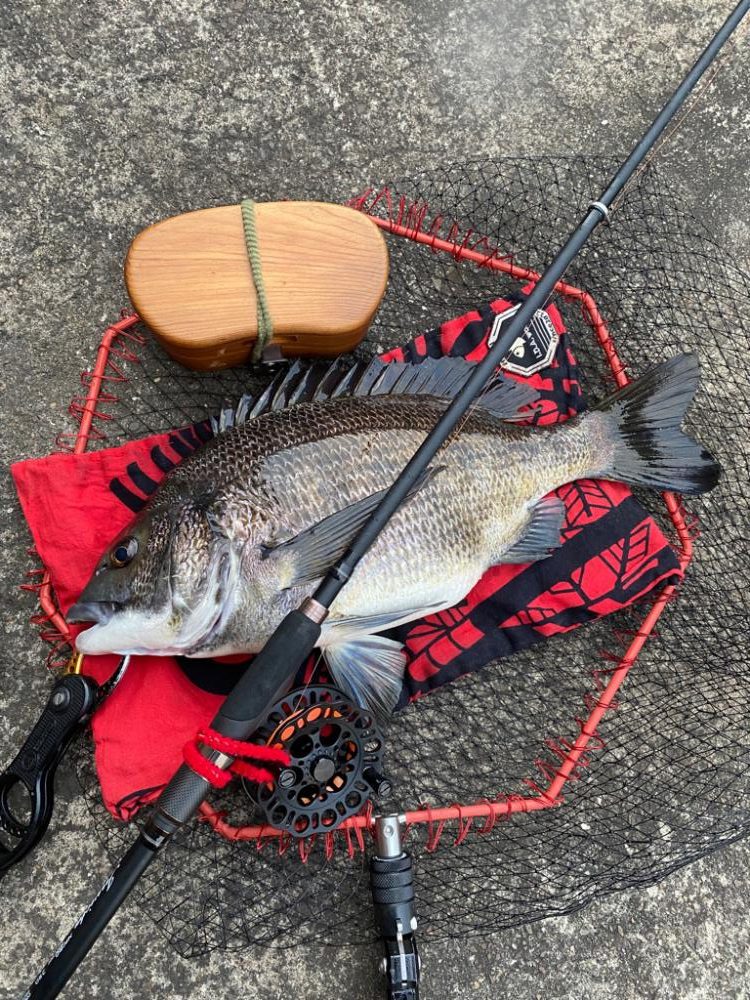 ヘチってきました