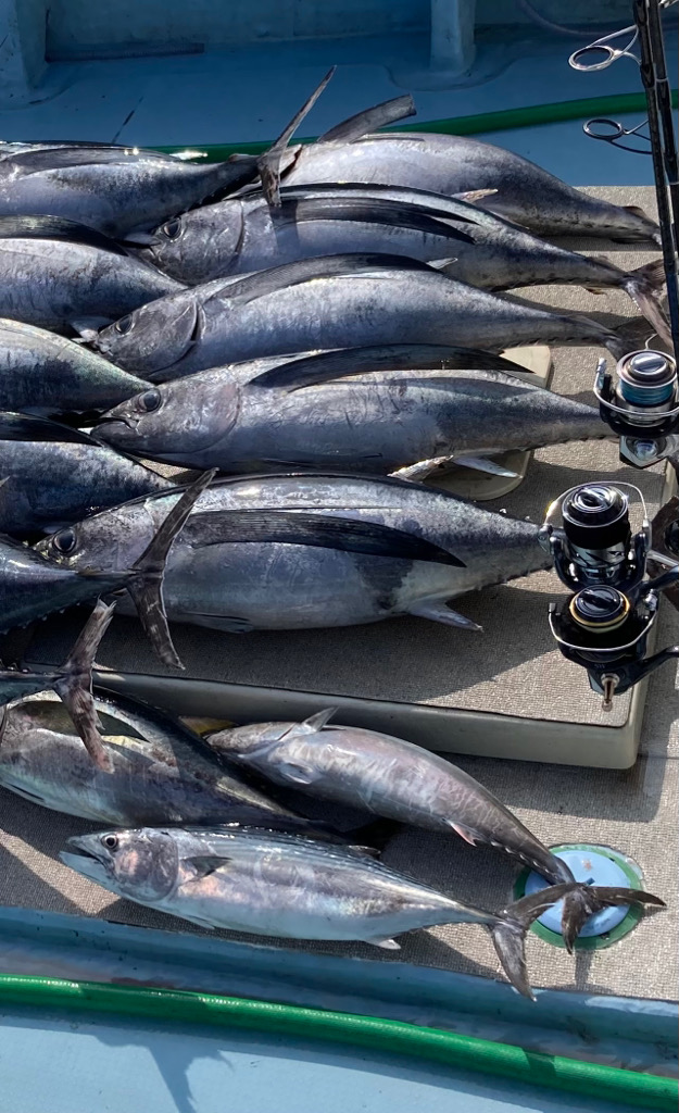 初スロジギでマグロ!?