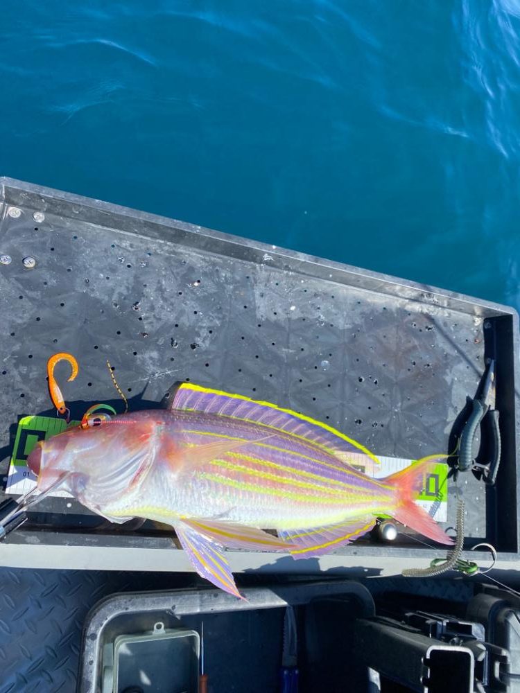 マイボート釣行