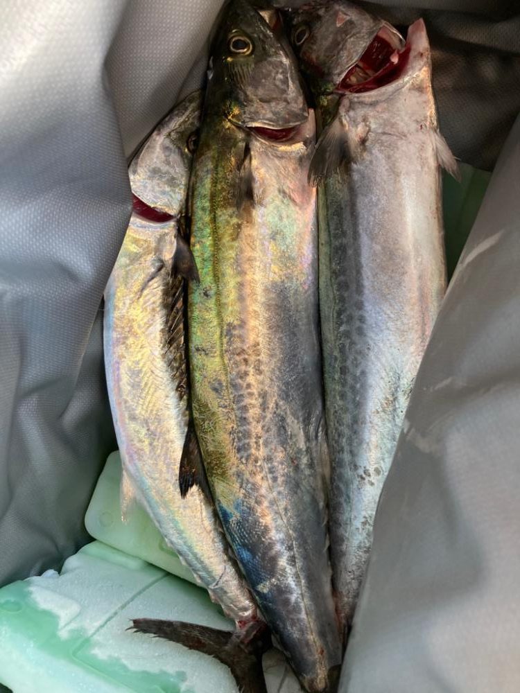 ⭐️ハットトリック