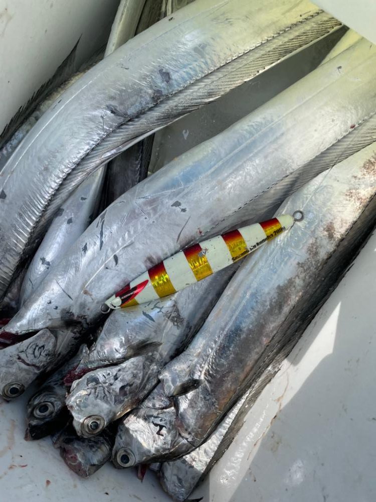 タチウオジギング