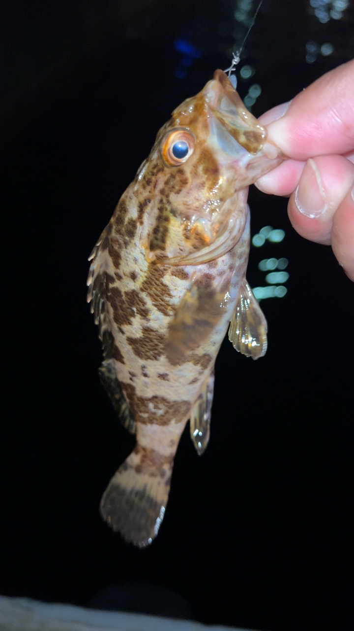 秋のタケノコ掘り♪