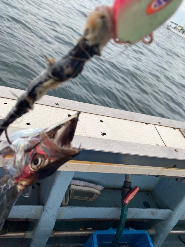 太刀魚釣り　純栄丸