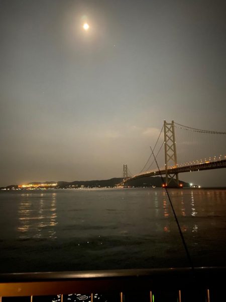 今日はサバの日？