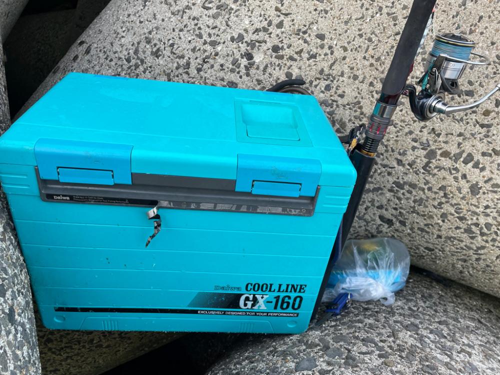 去年の爆釣日‼️ 今年は、、、