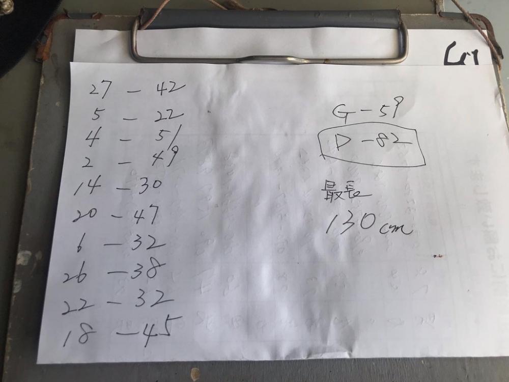 アカマツのタチウオ