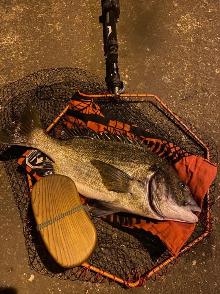 ヘチってきました