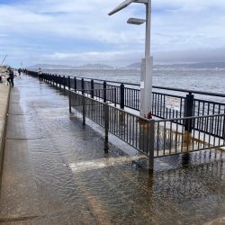 マズメでなくても