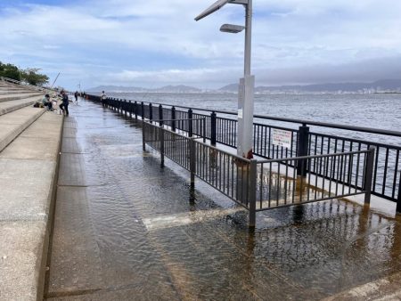 マズメでなくても