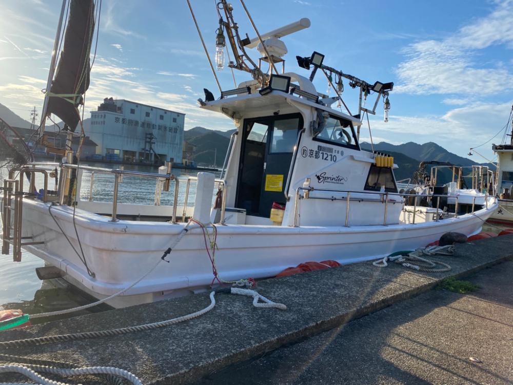 初ナイトティップラン