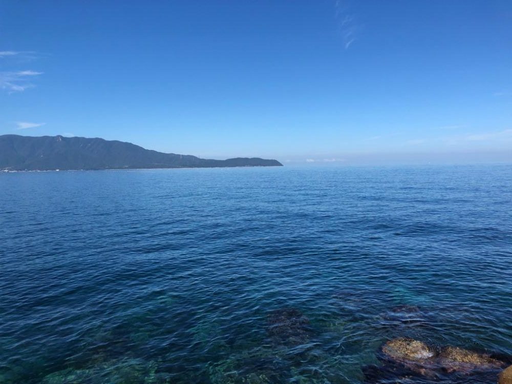 アオリイカ越前調査2回目