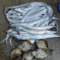 無限タチウオとカワハギ釣りに