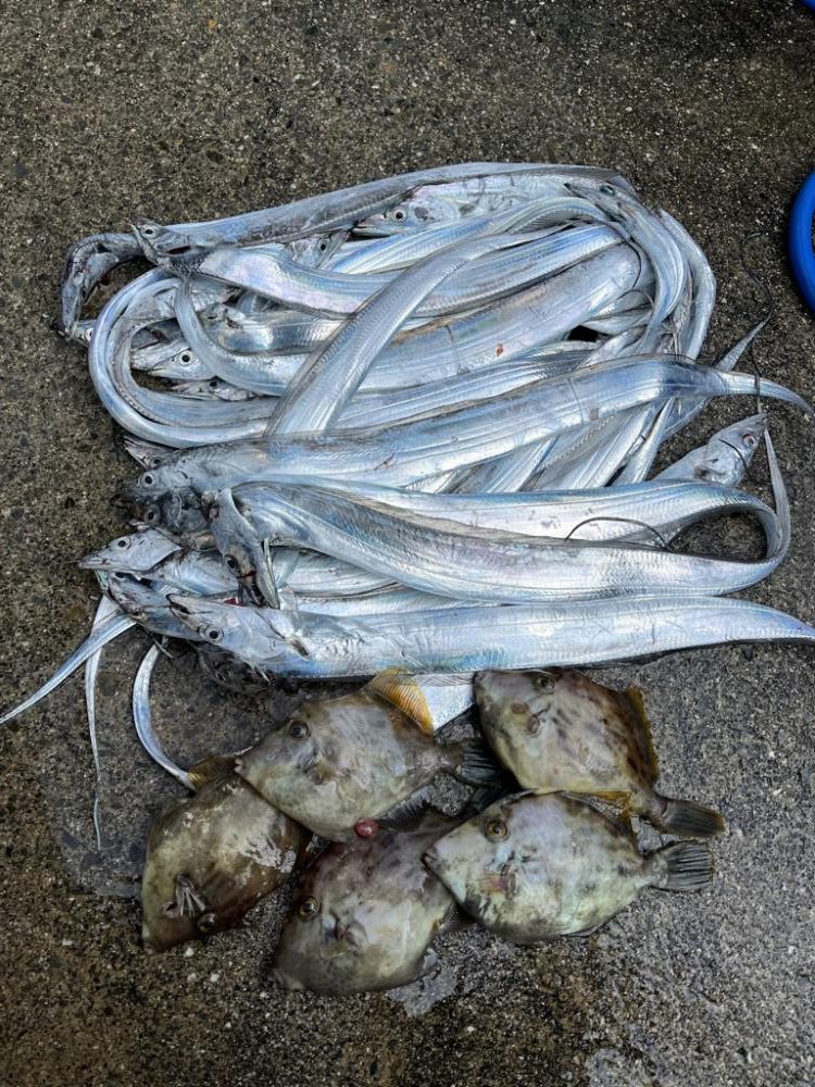 無限タチウオとカワハギ釣りに