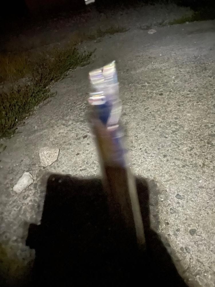 今シーズン太刀魚釣行#2