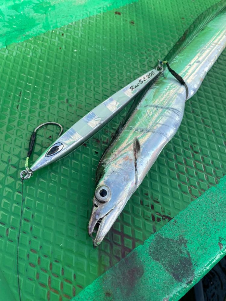 タチウオジギング