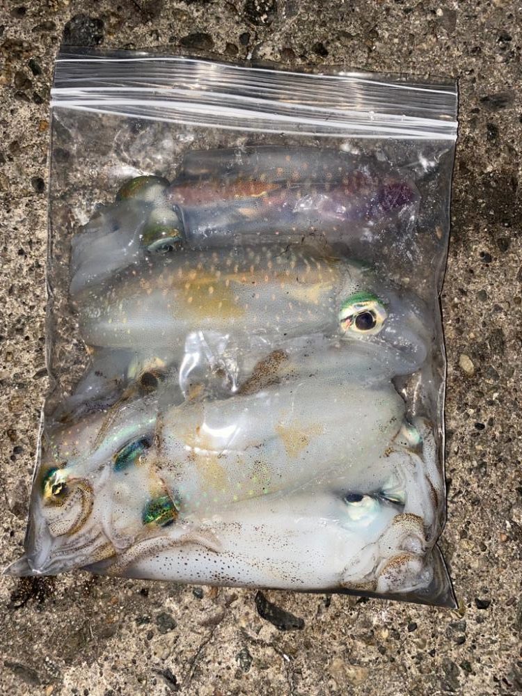 久しぶりの夕マズメ