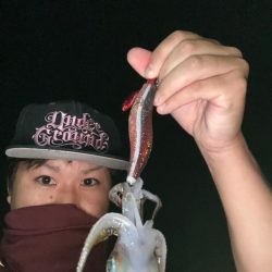 ナイトティップラン