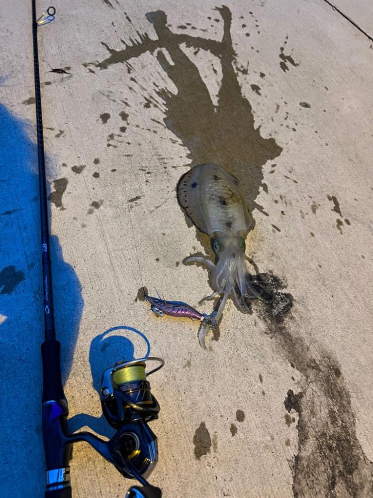 仕事終わりのエギング