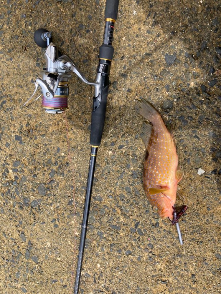 もうそんなに暑く無いかな？