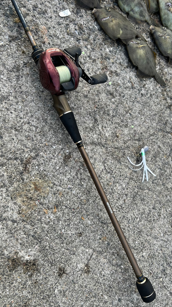 カワハギシーズンイン！