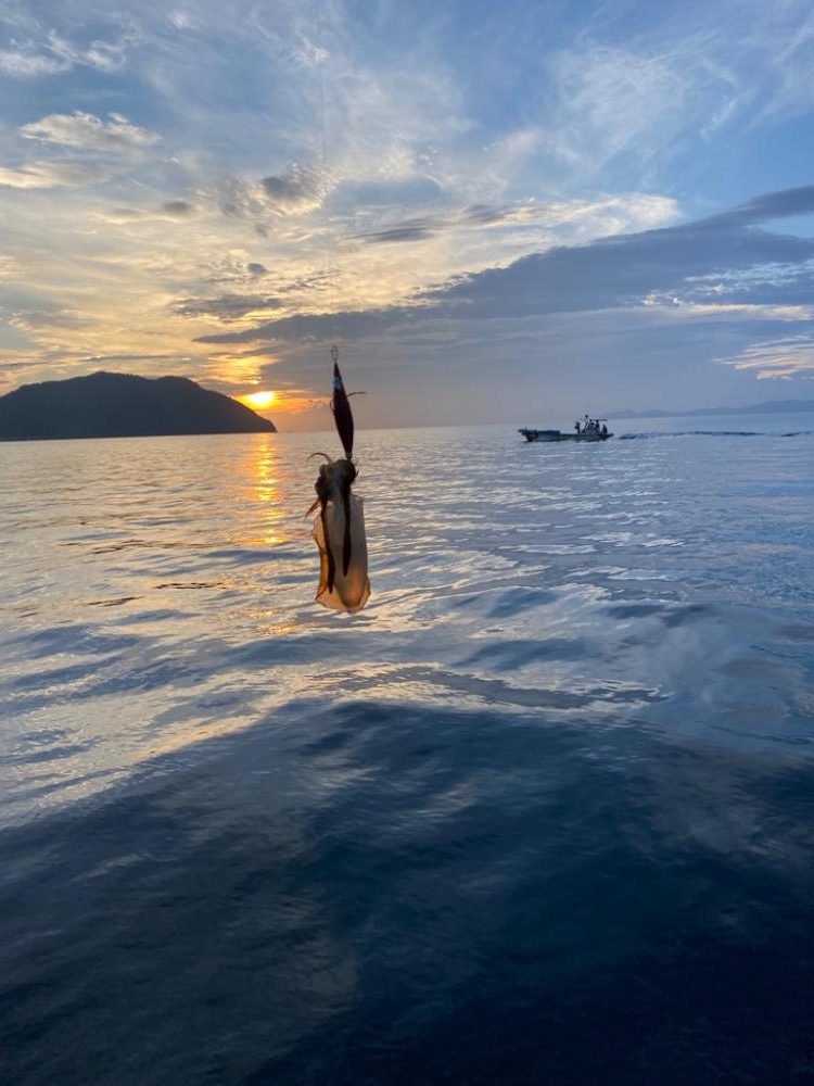 アオリ成長遅い？