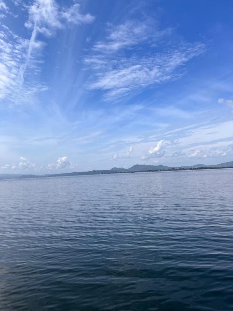 チニング調査 No2