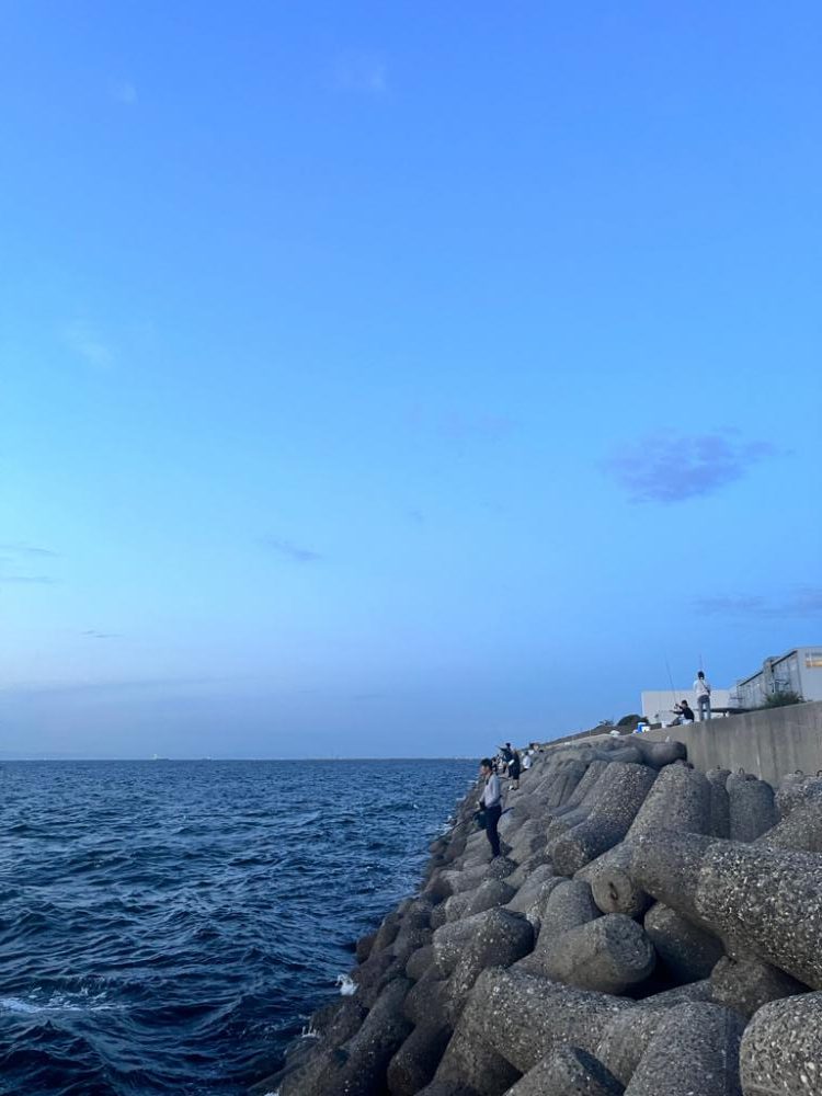 サビキ最高　タチウオダメ