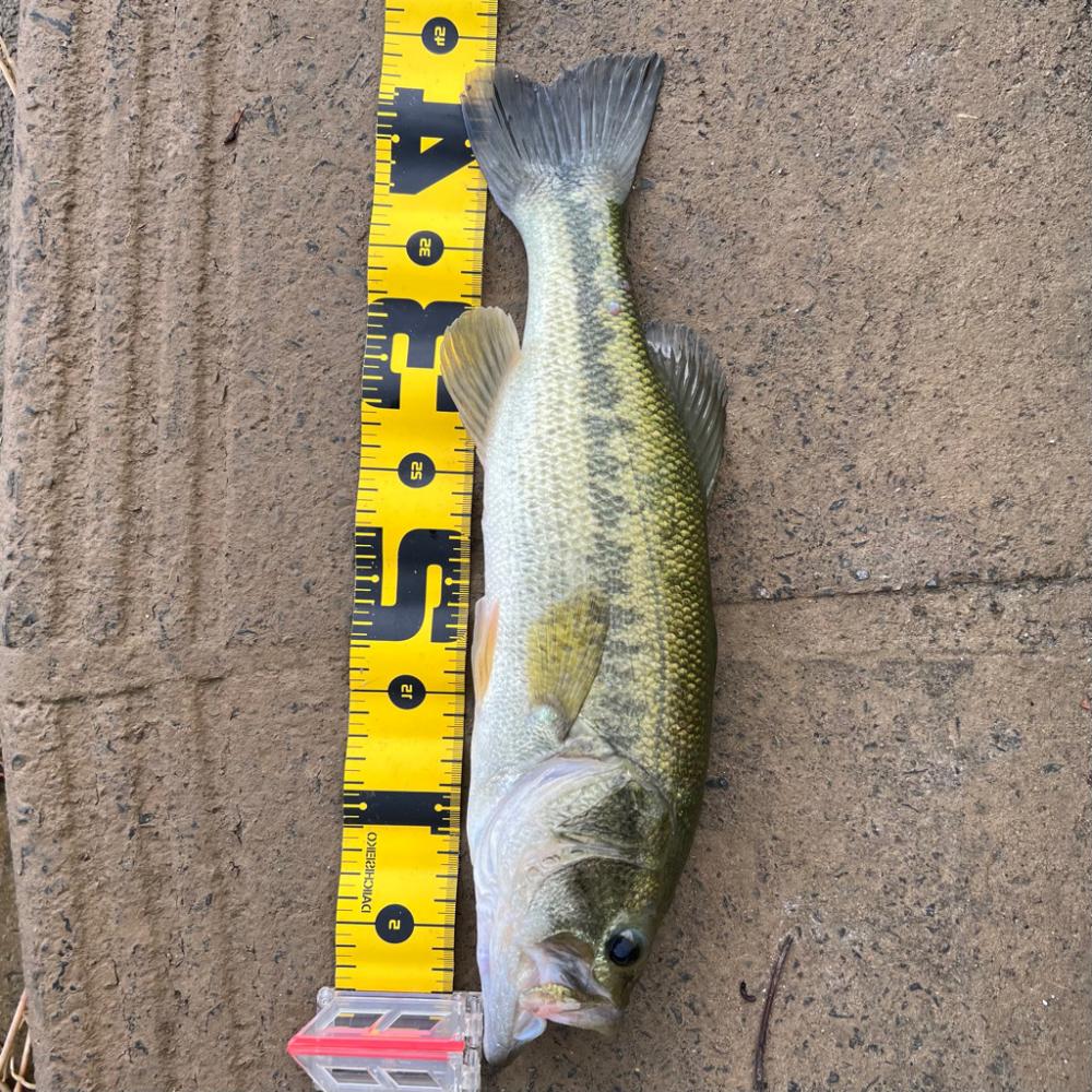 早起きは三文の徳💰笑