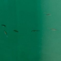 今シーズンの流行カラーは？