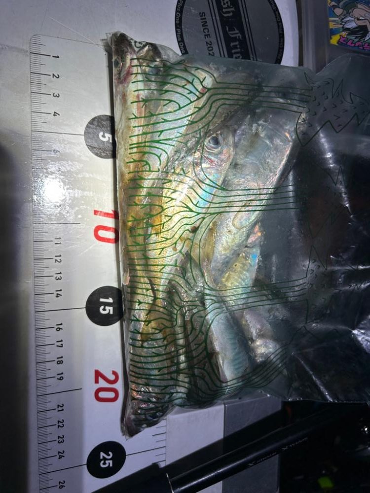 今までやってきたことの集大成