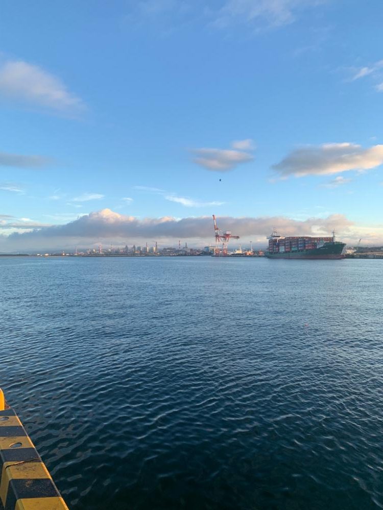 陸タチウオおもろい〜