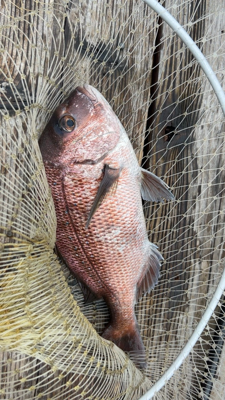 自分は渋かった(T ^ T)