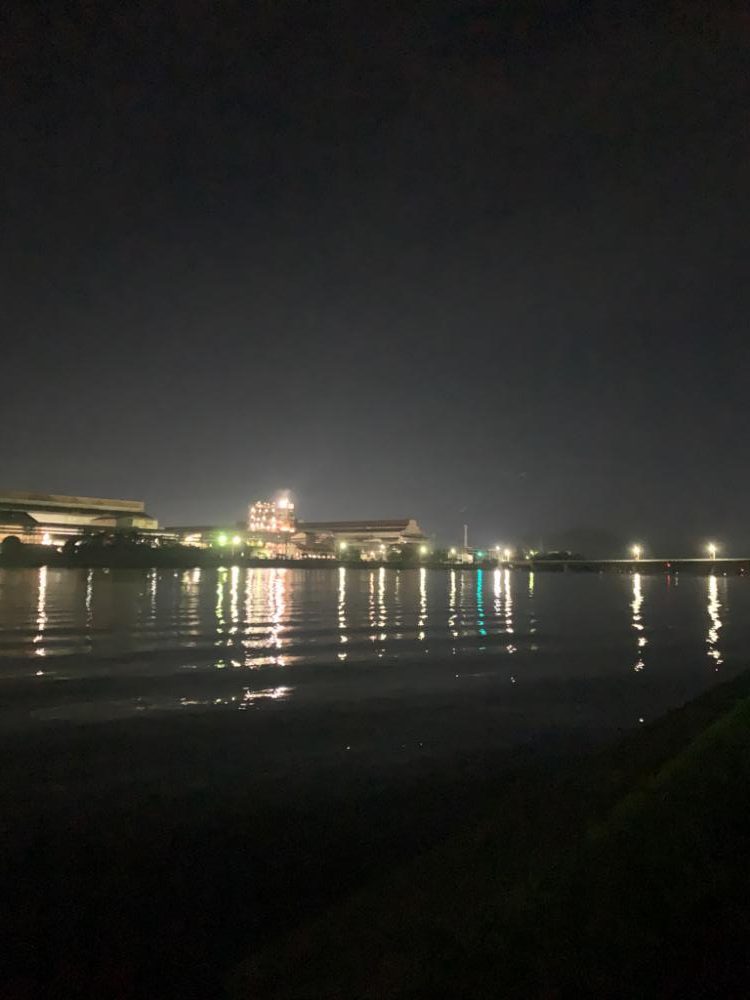 シーバス釣りたい•••