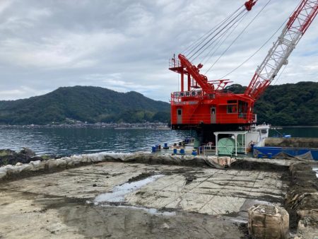 アコウがいいな