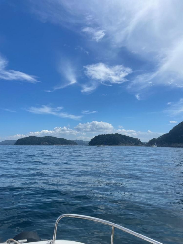 ボートジギング