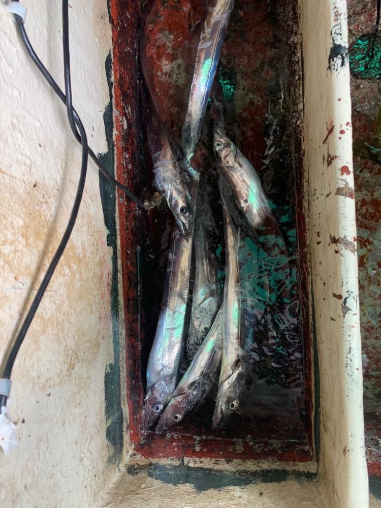 まだまだ暑すぎ!