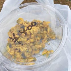 癒しのカワハギゲームにゃ！