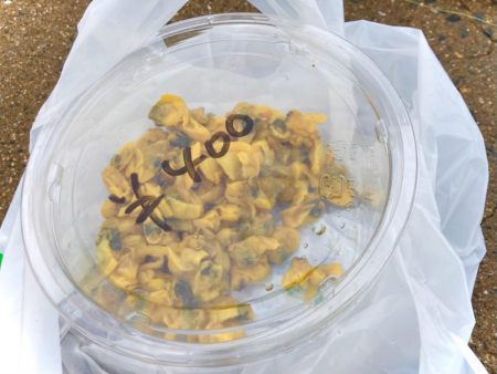 癒しのカワハギゲームにゃ！