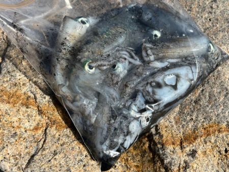 安定の激渋かと思ったら朝から連チャンモード