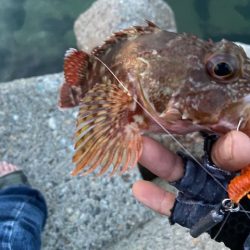 現地でラインを移植することにｗ