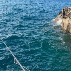 初めてのエリアでワクワク釣行だけど何処も厳しい!