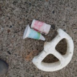 清掃活動：毎日エギング