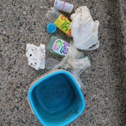 清掃活動：毎日エギング