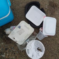 清掃活動：エギング多数ロスト